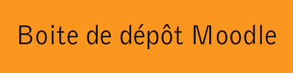Moodle
